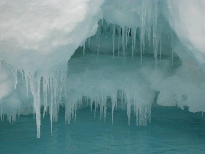 ron-antartica-2008-08-20