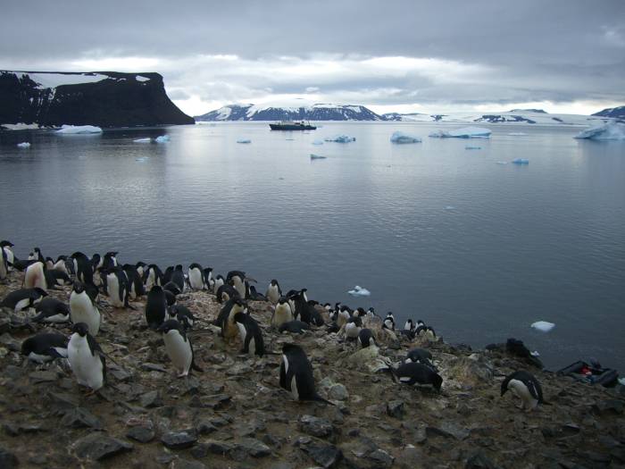 ron-antartica-2008-08-45