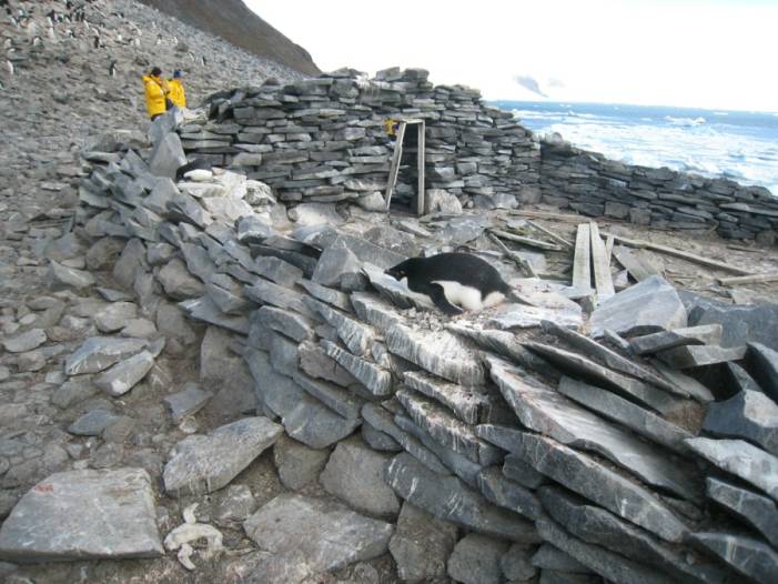 ron-antartica-2008-09-13