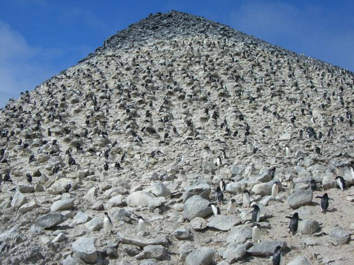 ron-antartica-2008-09-18