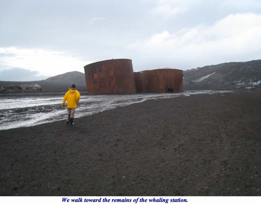 ron-antartica-2008-10-21