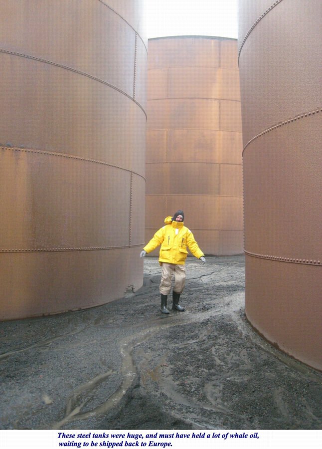 ron-antartica-2008-10-22