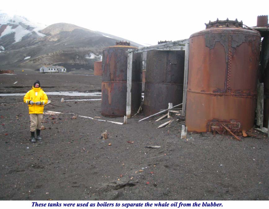 ron-antartica-2008-10-25