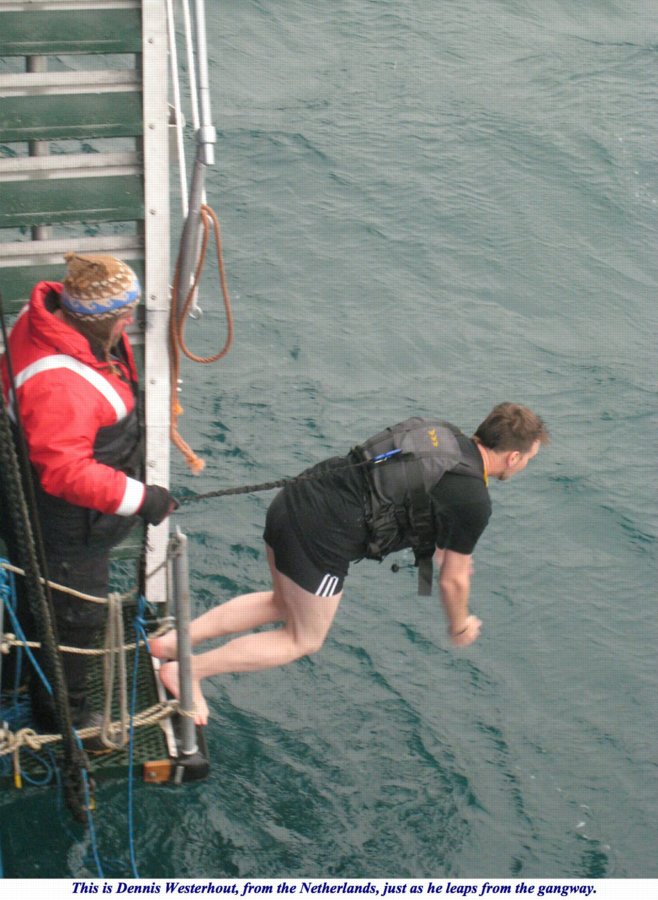 ron-antartica-2008-10-33