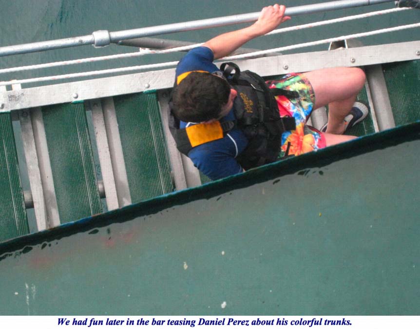 ron-antartica-2008-10-37