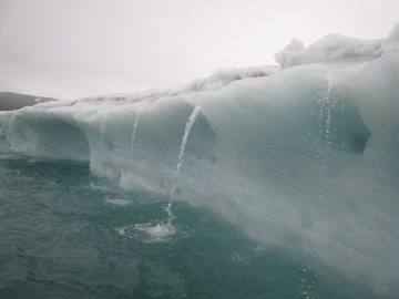 2008-Dec-Antarctica-Ron-02-08