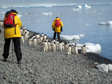 2008-Dec-Antarctica-Ron-03-045