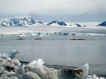2008-Dec-Antarctica-Ron-03-104