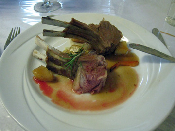 2008-Dec-Antarctica-Ron-410