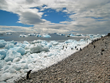 2008-Dec-Antarctica-Ron-485575