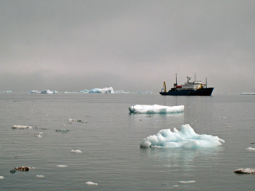 2008-Dec-Antarctica-Ron-4859