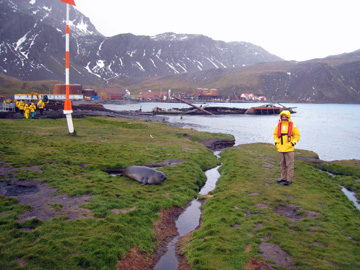 2008-Dec-Antarctica-Ron-522