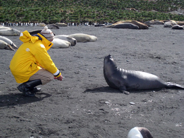 2008-Dec-Antarctica-Ron-602