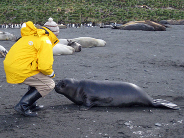 2008-Dec-Antarctica-Ron-603