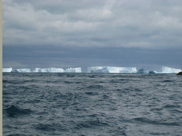 2008-Dec-Antarctica-Ron-669