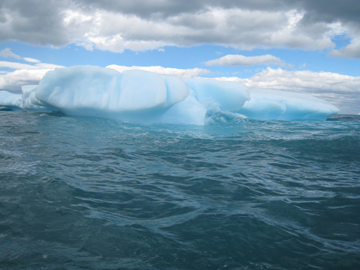 2008-Dec-Antarctica-Ron-679