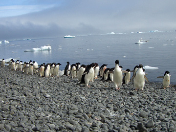 2008-Dec-BrownBluff-Pete-11