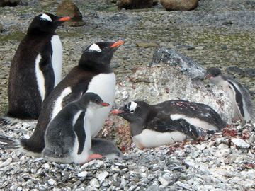 2008-Dec-BrownBluff-Pete-45