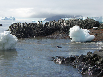 2008-Dec-BrownBluff-Pete-81