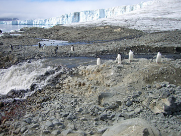 2008-Dec-BrownBluff-Pete-84