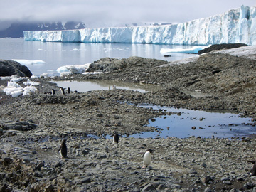 2008-Dec-BrownBluff-Pete-86