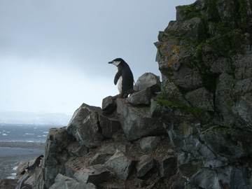 2008-Dec-HalfMoonIsland-Pete-17