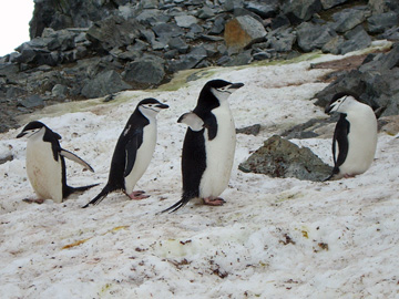 2008-Dec-HalfMoonIsland-Pete-20