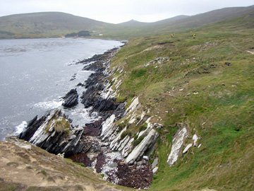 2008-Dec-Malvinas-CarcassIsland-Pete-12