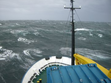 2008-Dec-Malvinas-ShagRock-Pete-03