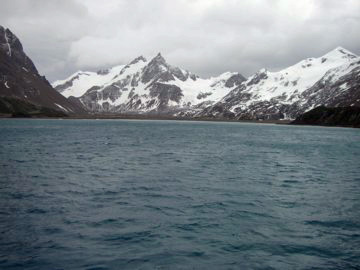 2008-Dec-Malvinas-ShagRock-Pete-13