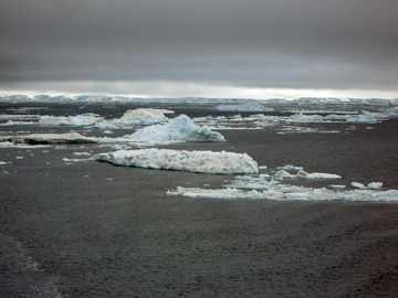 2008-Dec-OpenWaterAnimalsOnIce-Pete-10