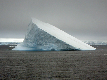 2008-Dec-OpenWaterAnimalsOnIce-Pete-20
