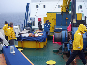 2008-Dec-OpenWaterAnimalsOnIce-Pete-36