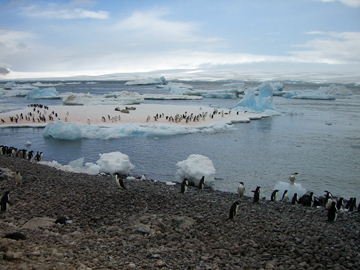2008-Dec-PauletIsland-Pete-033