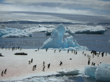 2008-Dec-PauletIsland-Pete-075
