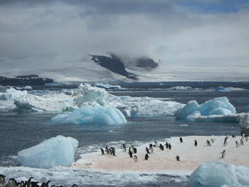 2008-Dec-PauletIsland-Pete-079