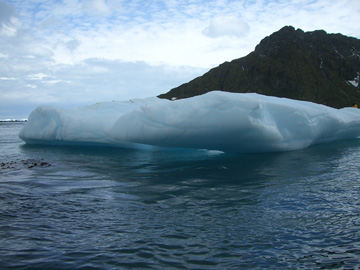 2008-Dec-SouthGeorgia-CooperBay-Drygalaski Fjord-Pete-30