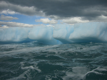 2008-Dec-SouthGeorgia-CooperBay-Drygalaski Fjord-Pete-56