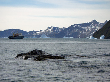 2008-Dec-SouthGeorgia-GoldHarbour-Pete-22