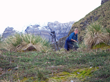 2008-Dec-SouthGeorgia-GoldHarbour-Pete-43