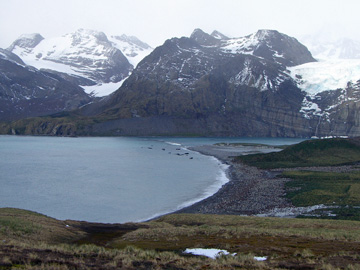 2008-Dec-SouthGeorgia-GoldHarbour-Pete-47
