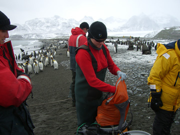 2008-Dec-SouthGeorgia-SalisburyPlain-Pete-03