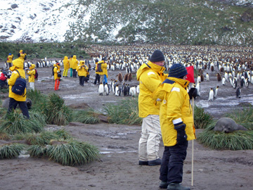2008-Dec-SouthGeorgia-SalisburyPlain-Pete-21