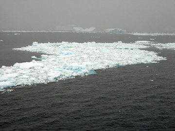 2008-Dec-SouthOrkney-Pete-062