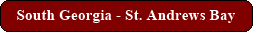 South Georgia - St. Andrews Bay
