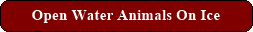Open Water Animals On Ice
