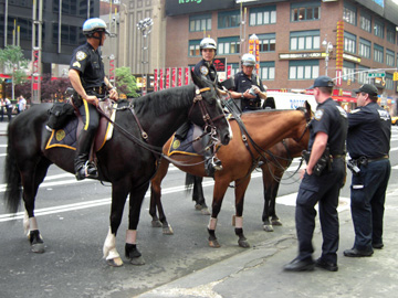 newyork-2009-pej-282