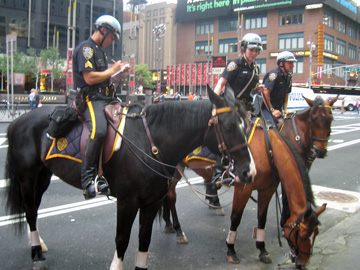 newyork-2009-ron-340