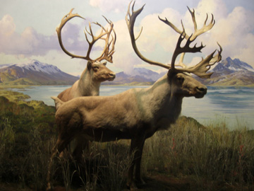 newyork-2009-pej-406