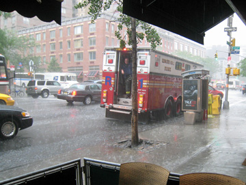 newyork-2009-ron-823